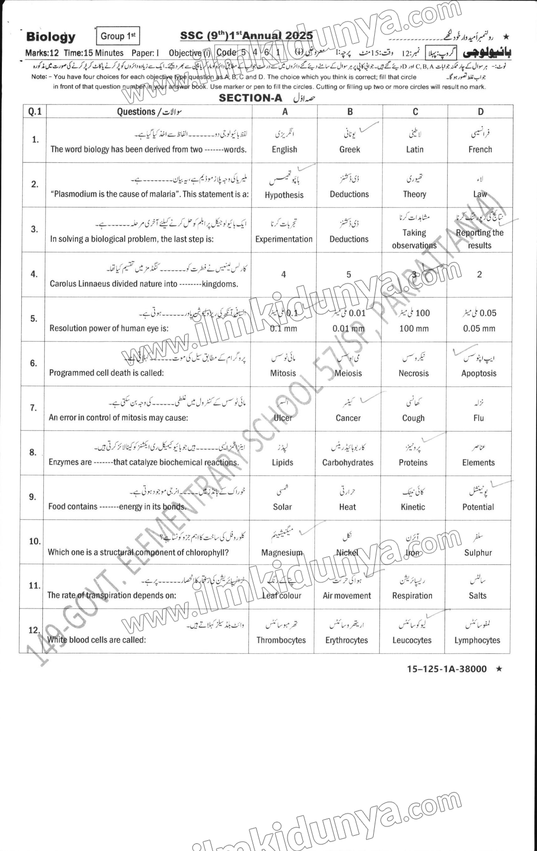 Paper Image